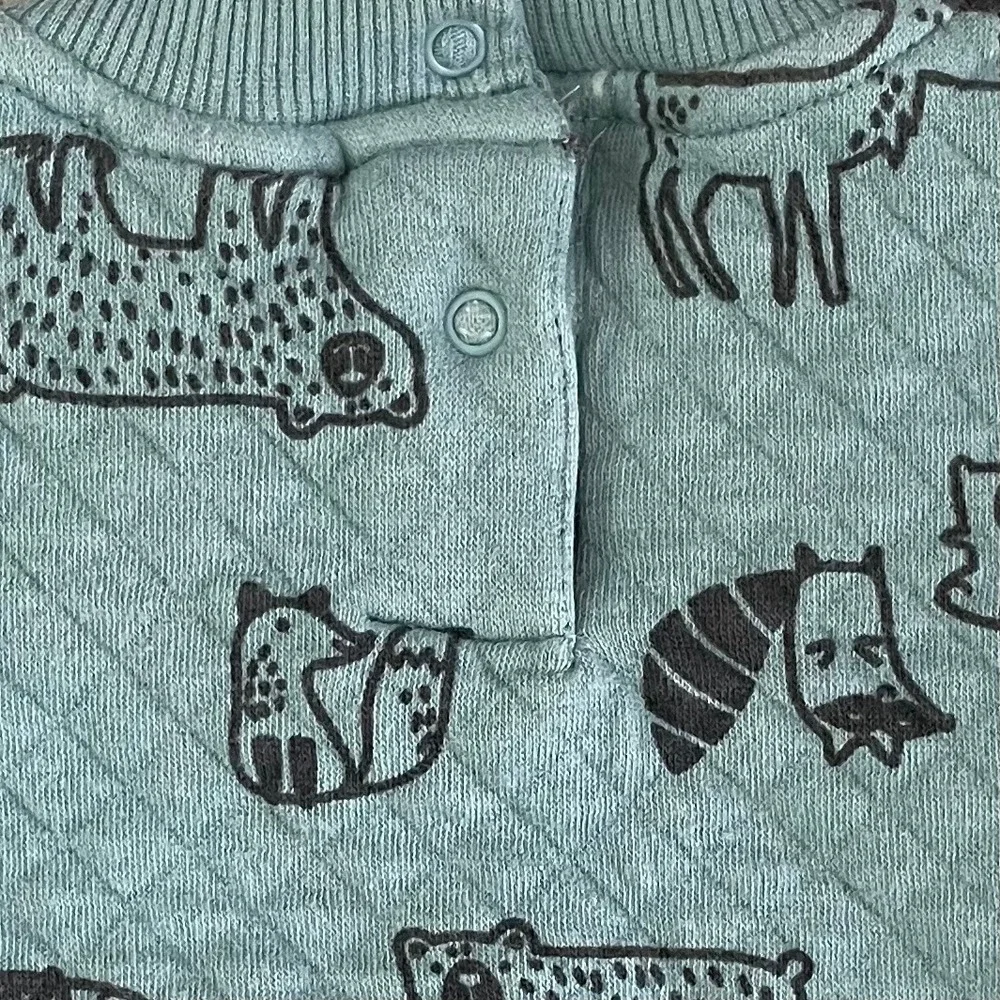 Koala Kids Baby 3M‎ Quilted Matching Set Forest Animals Sage Green Pants Sweater